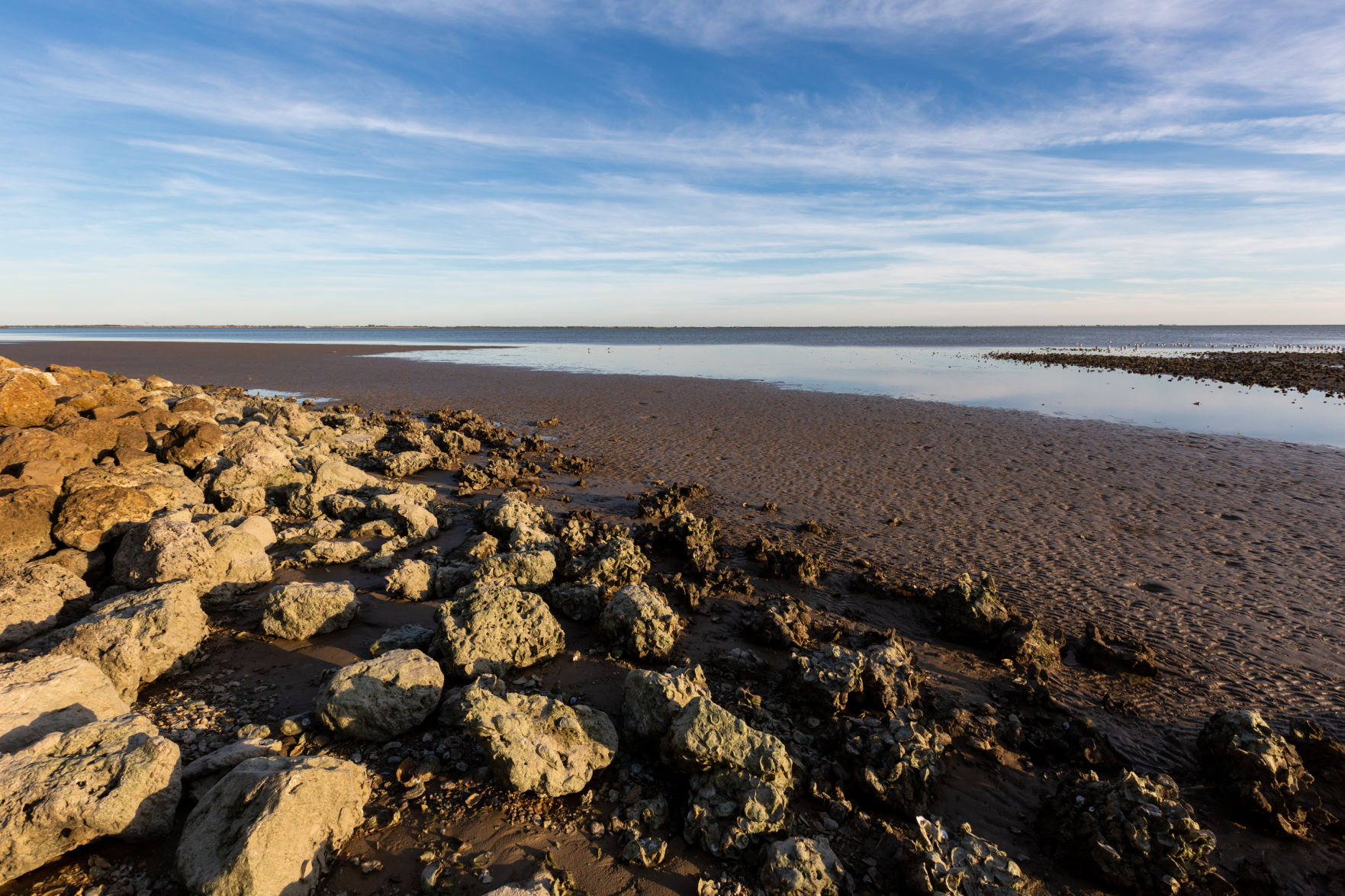 Matagorda Bay